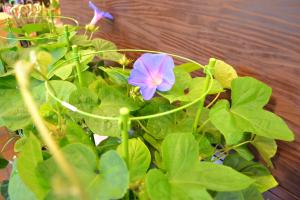 2010_0614_135355-dsc_0002