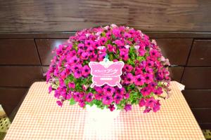 2010_0614_140037-dsc_0006