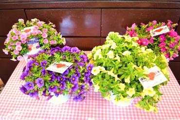 2010_0614_140717-dsc_0015