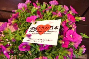 2010_0614_140732-dsc_0016