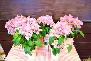 2010_0614_140836-dsc_0017