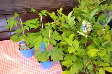 2010_0614_141212-dsc_0022